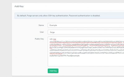 Set up a database connection with Forge and Navicat